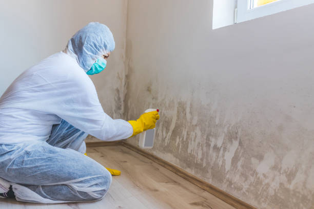 Hvac And Air Duct Mold Remediation inspection of HVAC system in South Hamilton